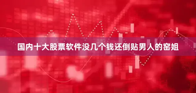 国内十大股票软件没几个钱还倒贴男人的窑姐